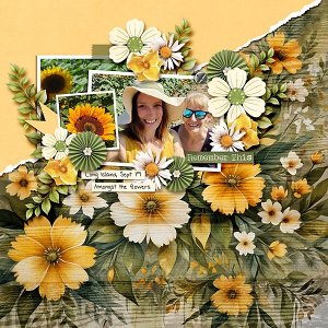 Amongst The Flowers