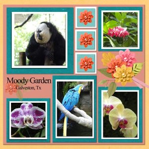 Moody Gardens, Galveston, TX
