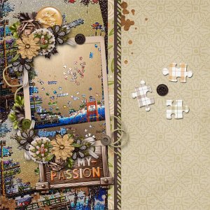 Puzzles Are My Passion