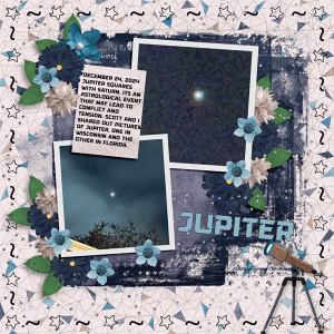 Aprilisa_PicturePerfect301_template2-s2-card-copy.gif