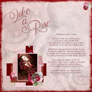 Like A Rose
