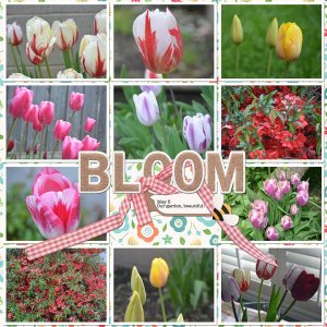 Mar-2025-Pinterest.jpg