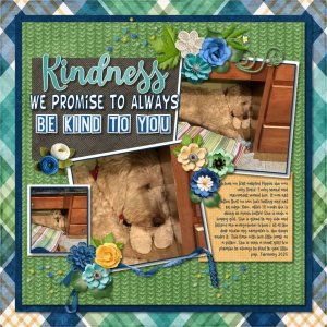 Kindness We promise to.jpg