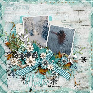 Winter Memories