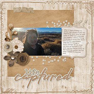 2025-03-colorchallenge-Aimee-kits-KatL.jpg