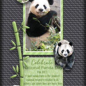 ATC-2025-023-Celebrate-National-Panda-Day.jpg