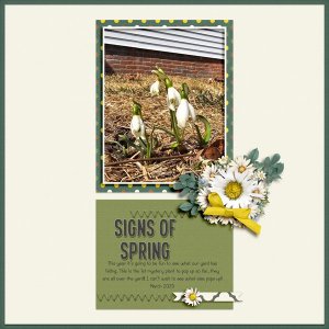 Signs of Spring.jpg