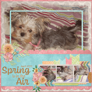 Spring is in the Air
