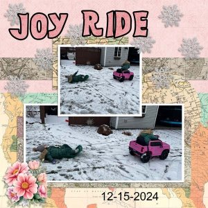 Joy Ride.jpg