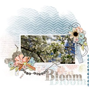 2025-03-JBS_SpringShowers_MFish_SweetSpring_02.jpg