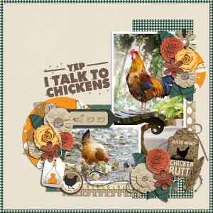 I talk to chickens