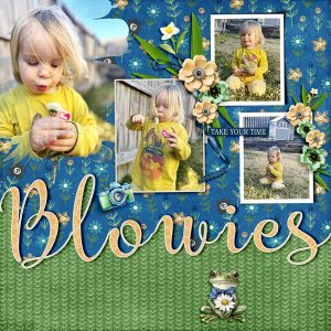 Blowies