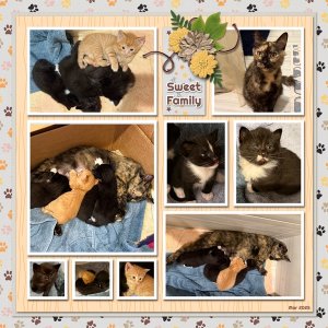 MamaLivvy & Kids