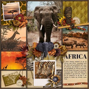 Africa.jpg