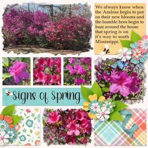 Signs of Spring