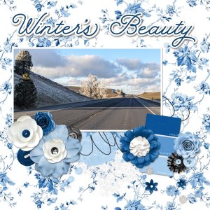 Winter's Beauty