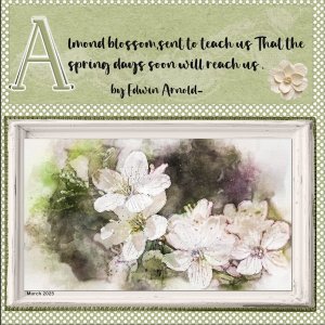 March 2025 - font challenge - Almond blossom.jpg