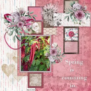 March 2025 Scrap-Lift Challenge-Spring....jpg