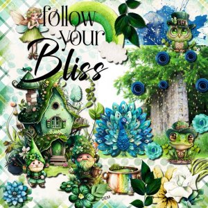 Follow Your Bliss