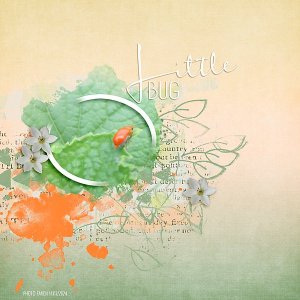 Little Bug