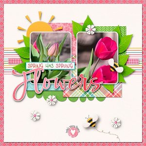 Hollys Flowers