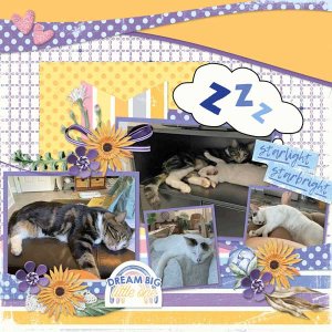 Sleepy-Kittiescap_curvaceoustemps3-2.jpg