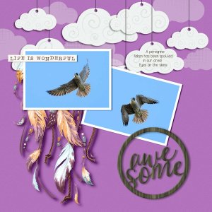 peregrine-final.jpg