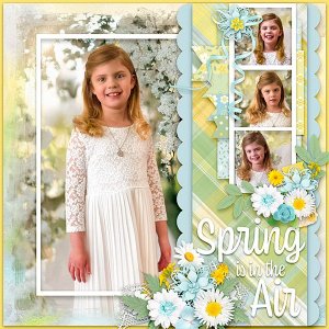 Spring is in the Air