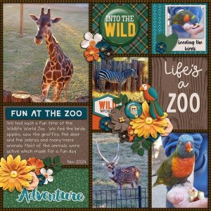 A Day At The Zoo