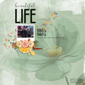 Beautiful Life