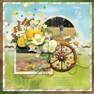 03-21_TBG_Buttercupsanddaisies_FB_Wildflowers.jpg