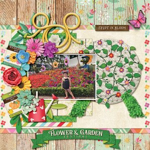 Flower & Garden Festival 1