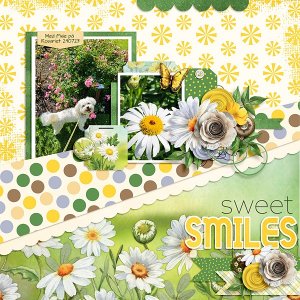 Sweet Smiles