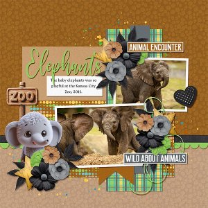 Elephant