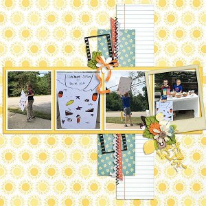 Lemonade Stand