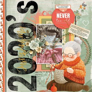 2020's knitting