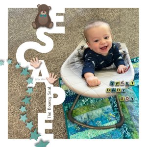 Escape Bouncy Seat.jpg