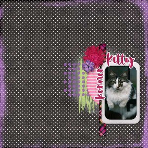 Kitty Korner