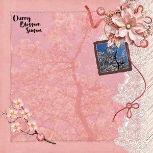 Cherry Blossom Season