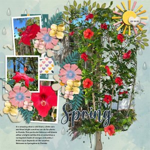 March-hibiscus-Tinci_2025MART3_1-copy-2.jpg