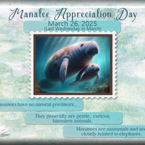 ATC-2025-024-Manatee-Appreciation-Day