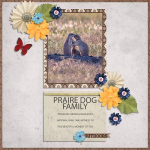PRAIRIE-DOGS-TEMP-3-3-25---WEB.jpg