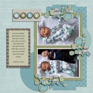 BABY-TEMP-2-3-25--WEB.jpg