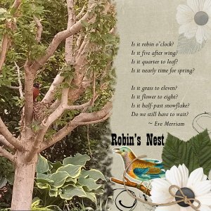 Robin's Nest