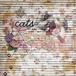 Cats