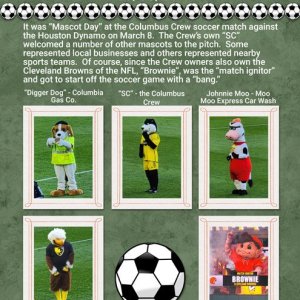 Mascots-on-the-Pitch.jpg