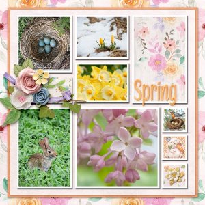March-Into-Spring-SCR-Temp-05.jpg