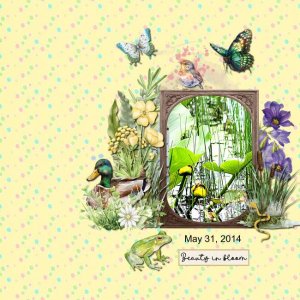 Inspiration Spring