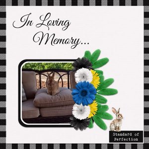 In Loving Memory