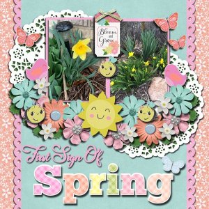 First Signs of Spring
